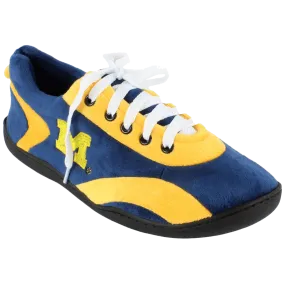 Michigan Wolverines All Around